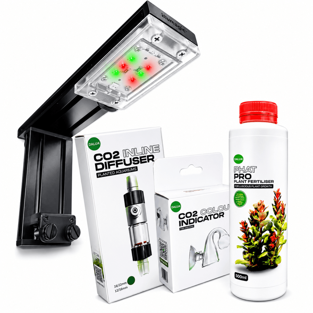 CO₂ Upgrade Kit – Complete Lighting & CO₂ Boost for Planted Tanks lighting bundle pack DALUA 