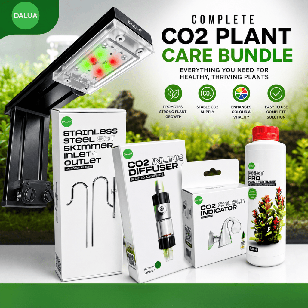 CO₂ Upgrade Kit – Complete Lighting, CO₂ & Flow Upgrade for Planted Tanks lighting bundle pack DALUA 