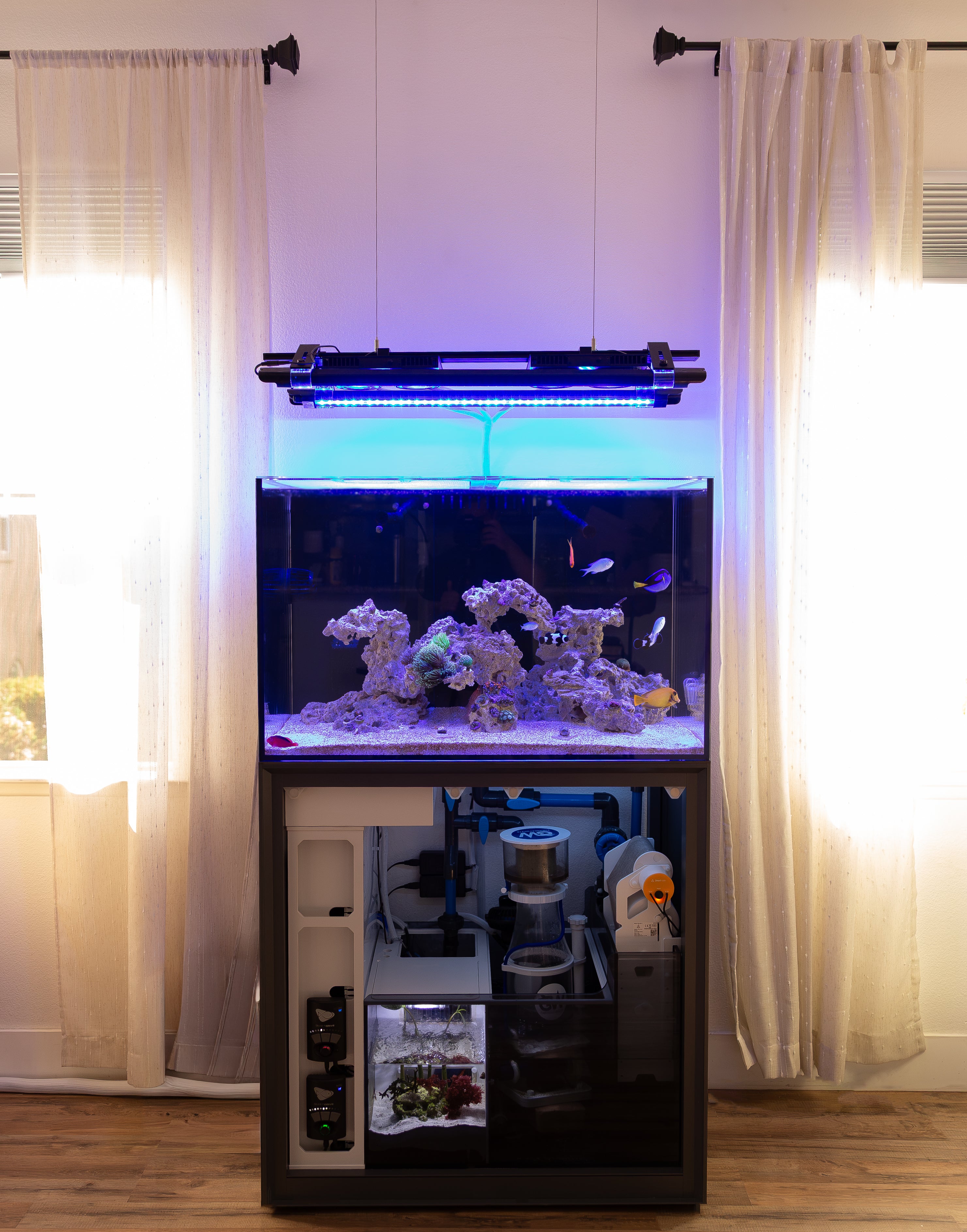 Jatty's Reefs' Products of Choice – Dalua International LLC