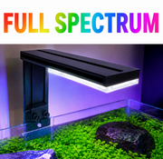 CO₂ Upgrade Kit – Complete Lighting & CO₂ Boost for Planted Tanks
