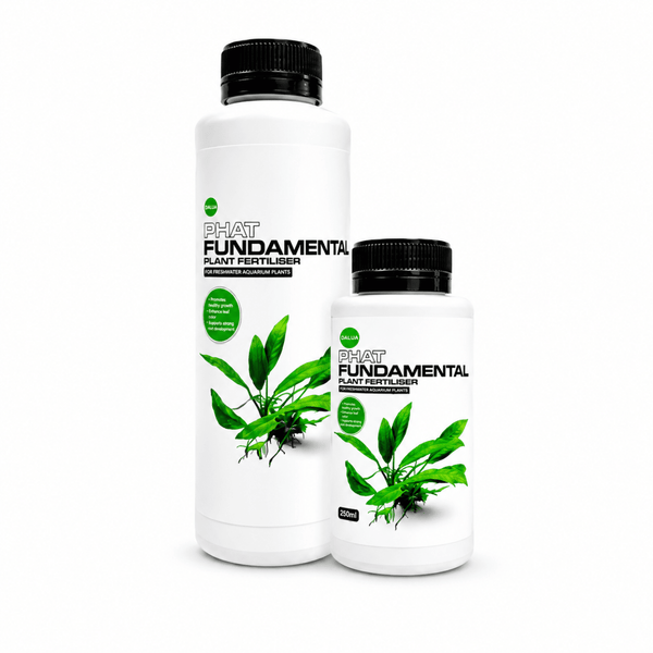 Dalua Phat Fundamental 250ml