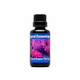Coral Essentials Dipping & Pest Solutions AQUARIUM additives DALUA FW Dip 1.69 fl oz 