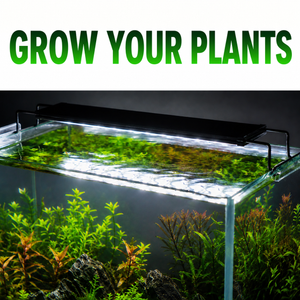 CO₂ Upgrade Kit – Complete Lighting & CO₂ Boost for Planted Tanks