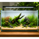 WIO - Himalaya Sand Soil and Substrate WIO