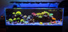 X4 Lighting Bundle lighting bundle pack DALUA 