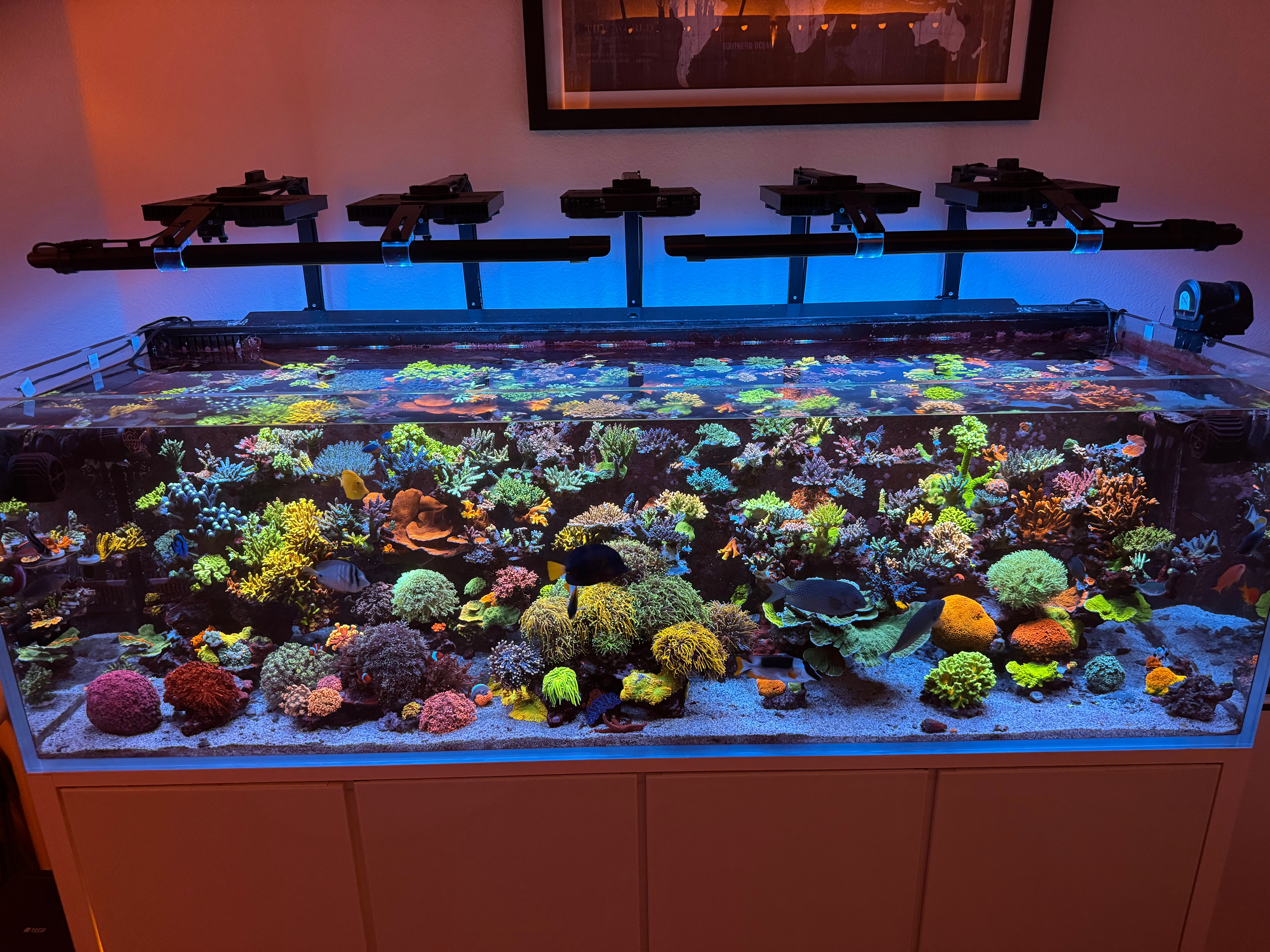 Rices Reef's Products of Choice – Dalua International LLC