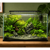 WIO - Jade Bliss Riverbed Soil and Substrate WIO 
