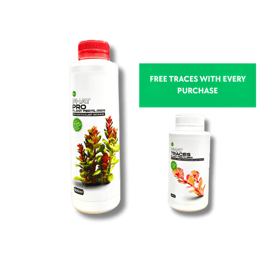 FISHROOM Phat Pro Fertilizer DaluaAustralia 