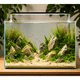 WIO - Pale Ethereal Riverbed Soil and Substrate WIO 