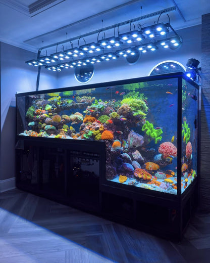 Illumagic X4 Limited Edition *Platinum White* LED LIGHTING DaluaAustralia 
