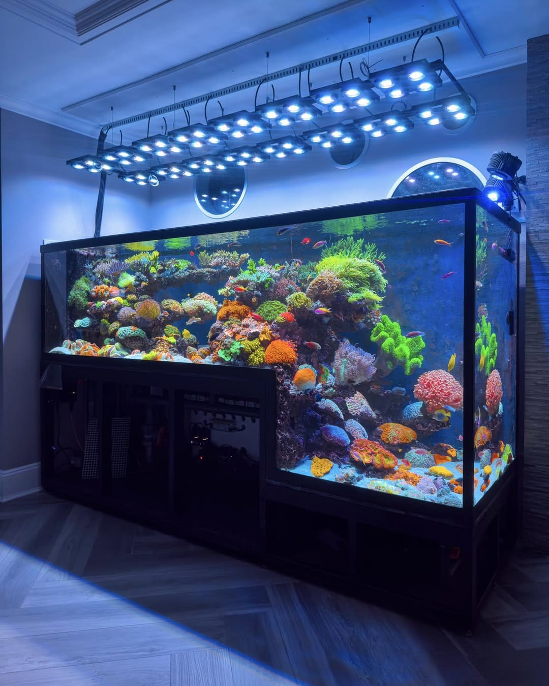 Ultimate Ecosystem Bundle – ILLUMAGIC X4, GREATE WHITE WAVE MAKER, RETURN PUMP, SKIMMER LED LIGHTING DaluaAustralia 