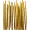 Gold Bars Pack of 10