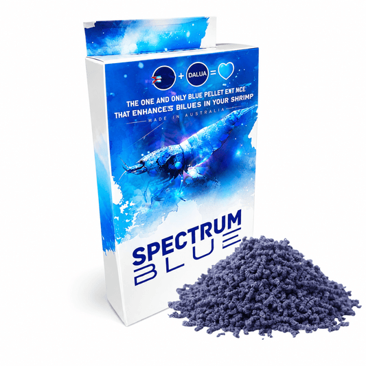 Shrimp Food Spectrum Blue DaluaAustralia 