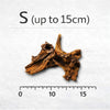 Driftwood River Series wood DaluaAustralia S - up to 15cm 