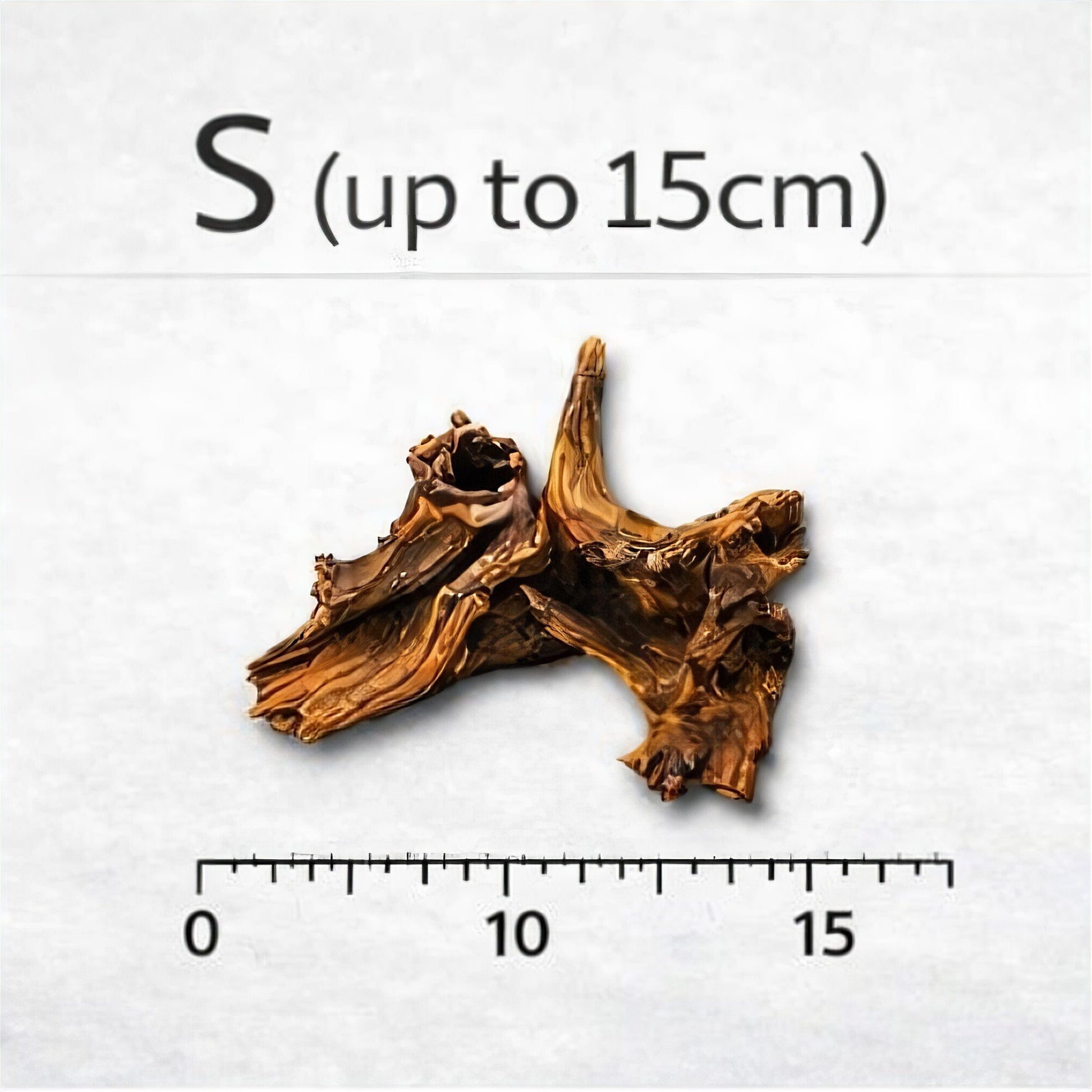 Driftwood River Series wood DaluaAustralia S - up to 15cm 