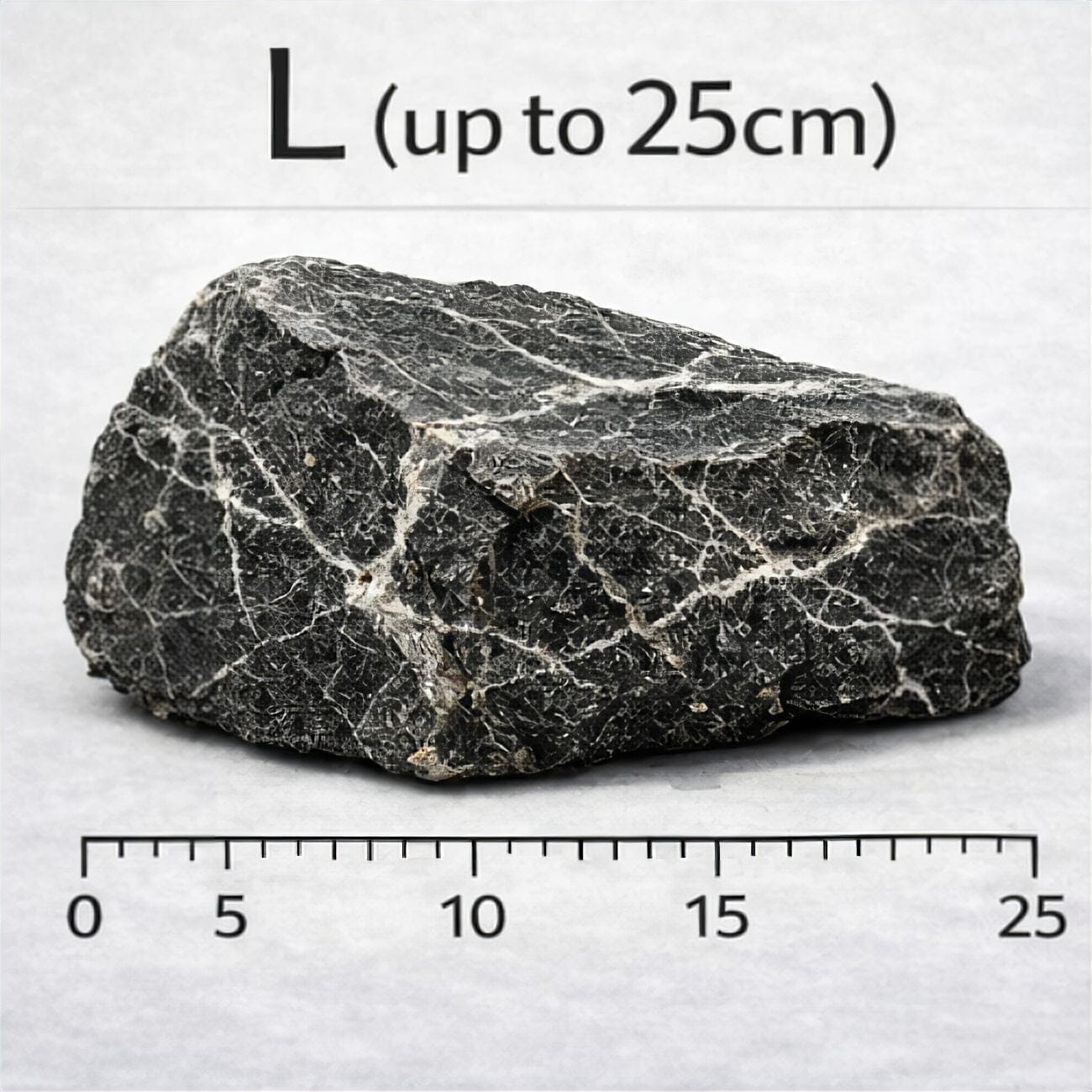 Seiryu Stone (per kg) Wood and Rock DaluaAustralia L - up to 25cm 