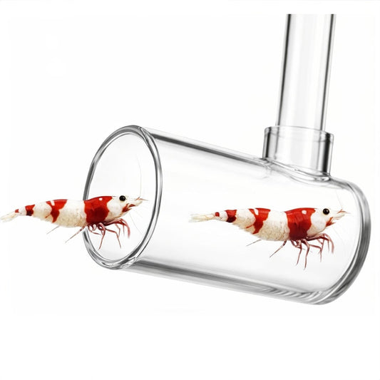 Fish and Shrimp Catcher - Extendable aquarium tool DALUA 