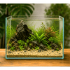 WIO - Tan Savage Riverbed Soil and Substrate WIO 
