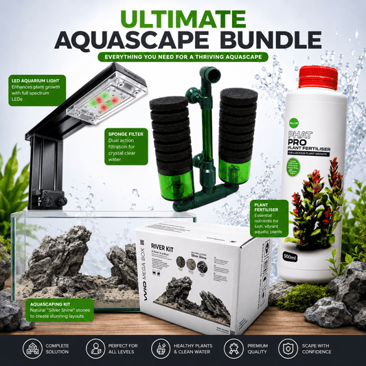 Ultimate Iwagumi Starter Kit – Complete Light, Hardscape & Filtration Bundle Soil and Substrate WIO 