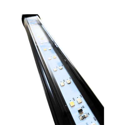 Vitamini Strips AQUARIUM LIGHTING DALUA