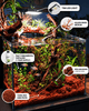 Fish Habitat All In One Setup aquarium lighting bundle WIO 