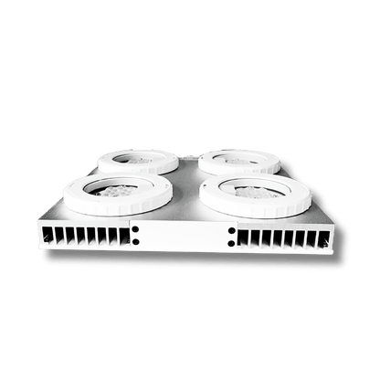 Illumagic X4 Limited Edition *Platinum White* LED LIGHTING DaluaAustralia 