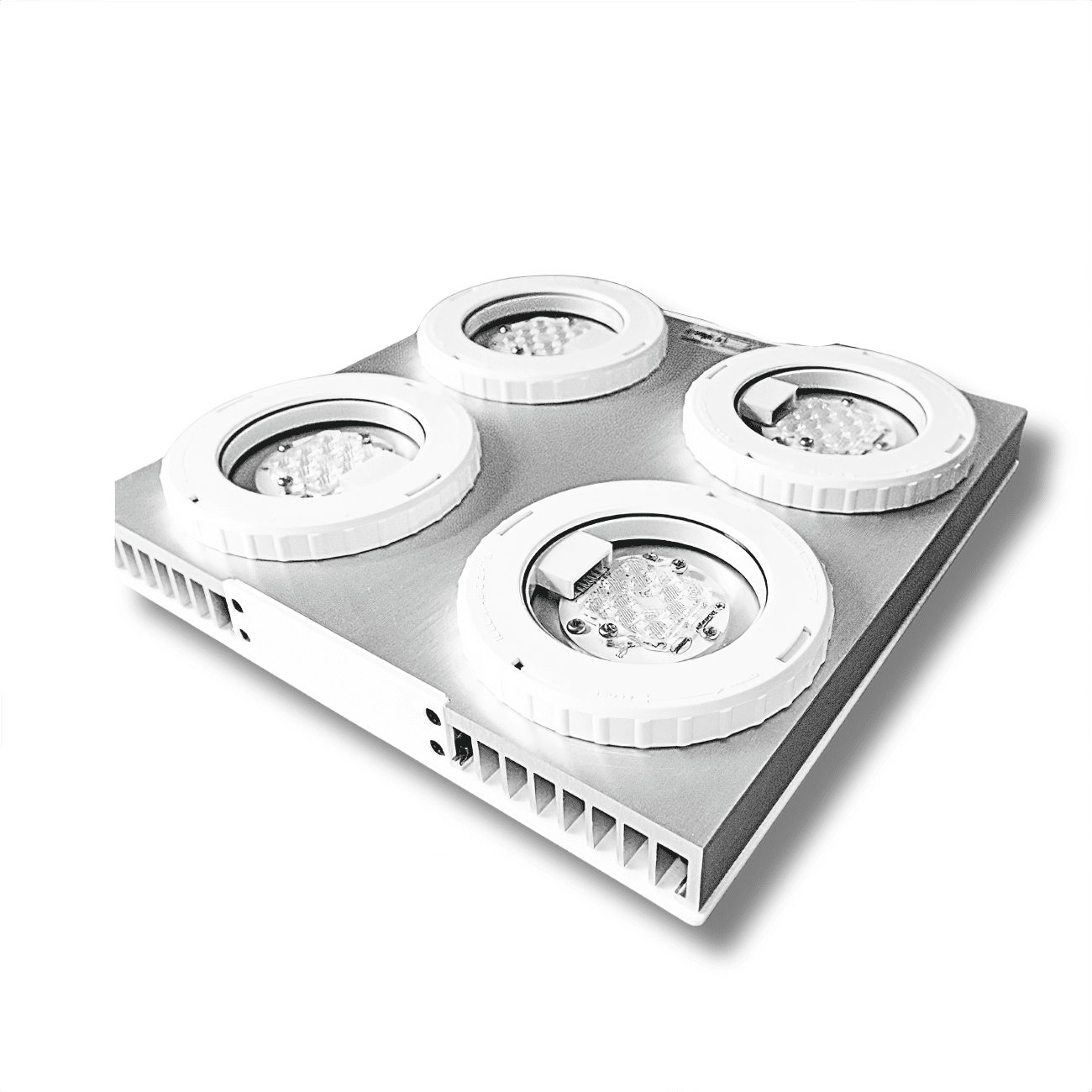 Illumagic X4 Limited Edition *Platinum White* LED LIGHTING DaluaAustralia 