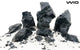 WIO - Black Venom Stone Mega Box Set 22kg Wood and Rock WIO 