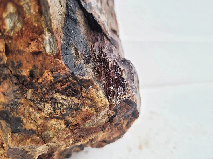 WIO - Bumblebee Stone Mega Box Set 22kg Wood and Rock WIO 