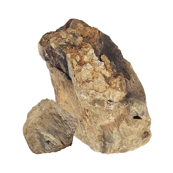 WIO - Bumblebee Stone – Dalua International LLC