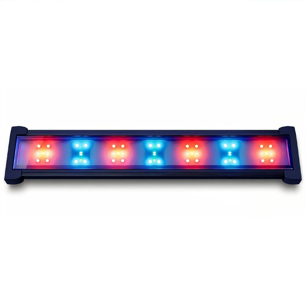 DALUA WRGB Slim LED lighting DALUA 