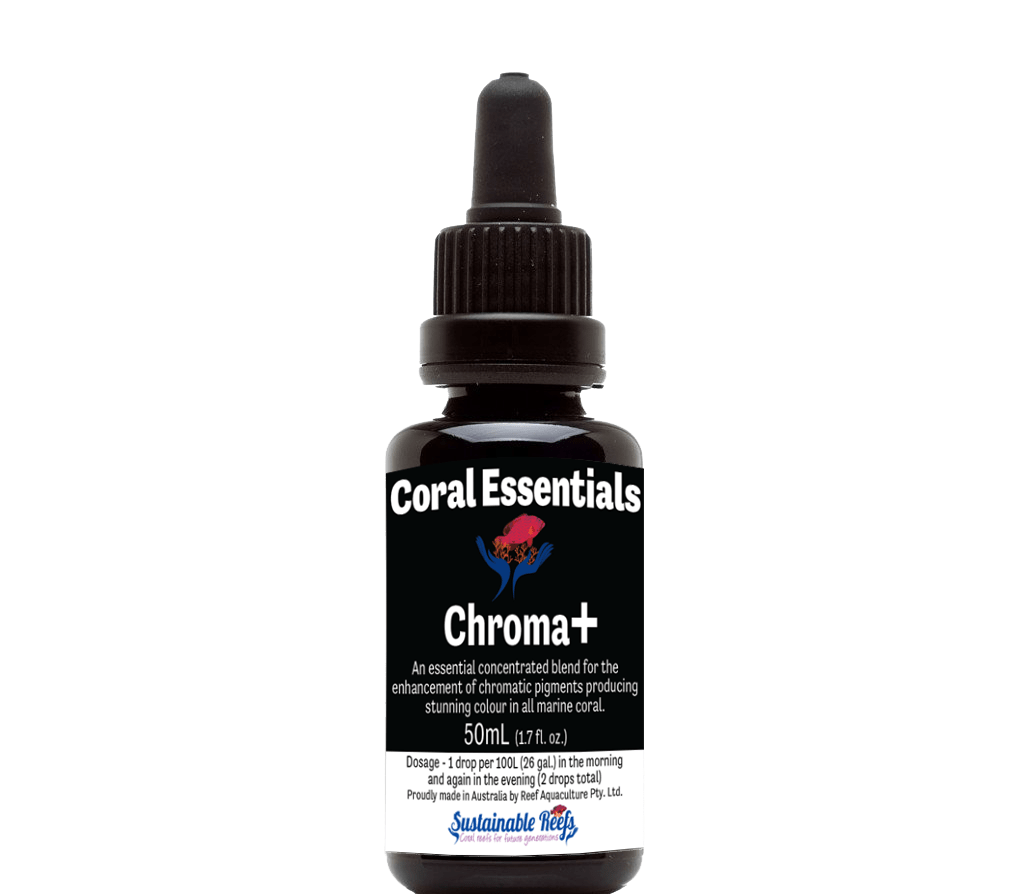 Coral Essentials Chroma Vibrance Energy Black Label