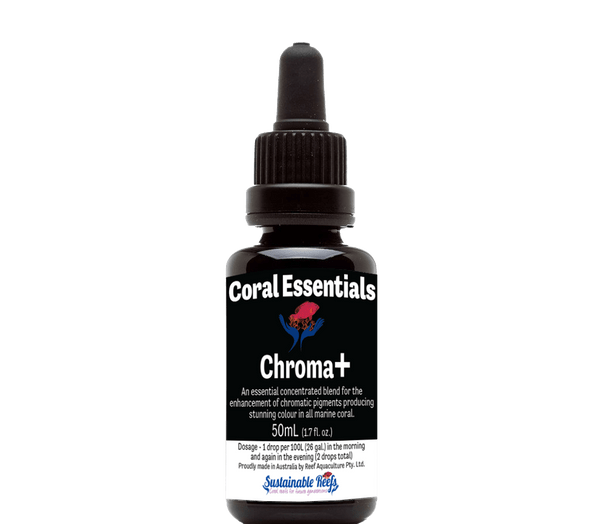 chroma_grande.png?v=1717745406