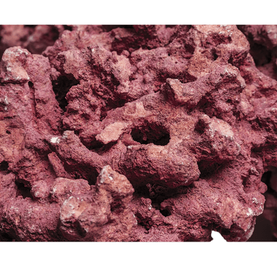 Marco Rocks Coralline DaluaAustralia