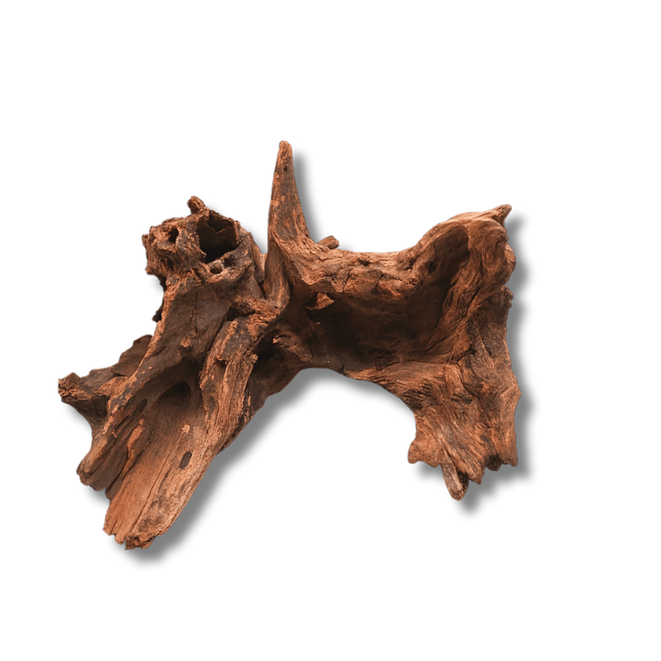 Driftwood River Series wood DaluaAustralia 