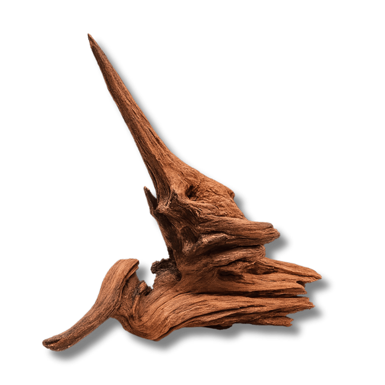 Driftwood River Series wood DaluaAustralia 