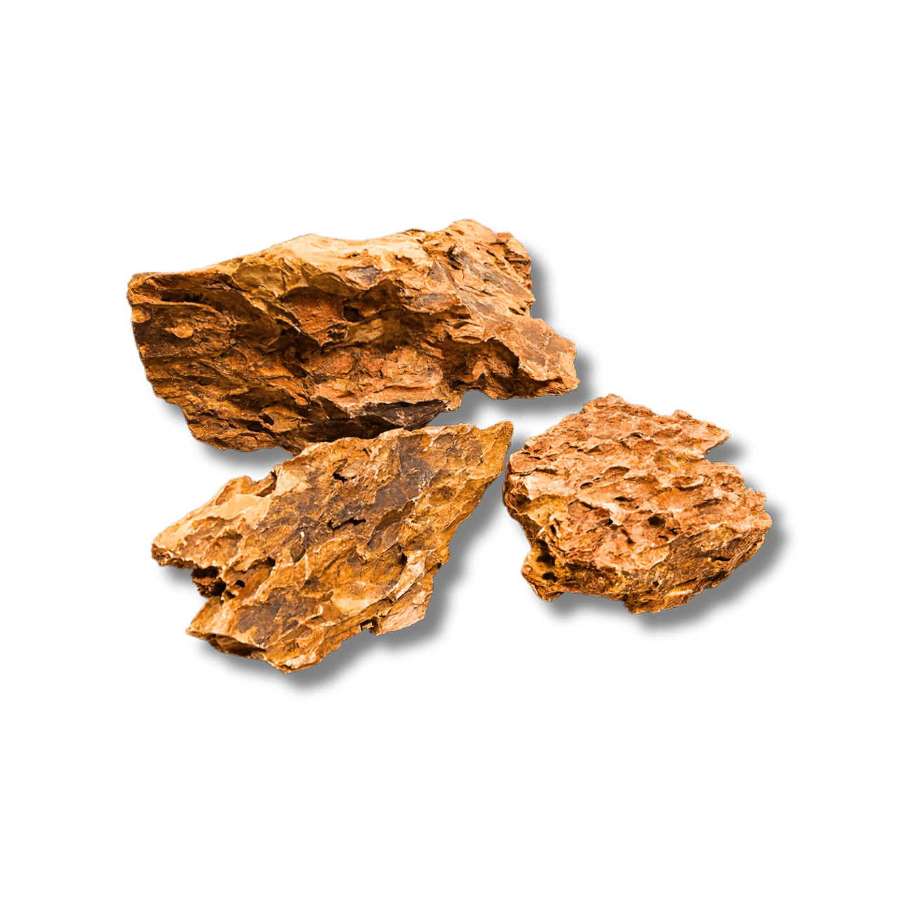 Dragon Stone (per Kg) Wood and Rock DaluaAustralia 