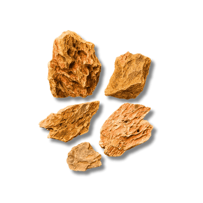 Dragon Stone (per Kg) Wood and Rock DaluaAustralia 