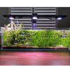 Pixel LED Bundle Freshwater lighting bundle pack DALUA 