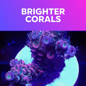 Coral Essentials Amino Ready