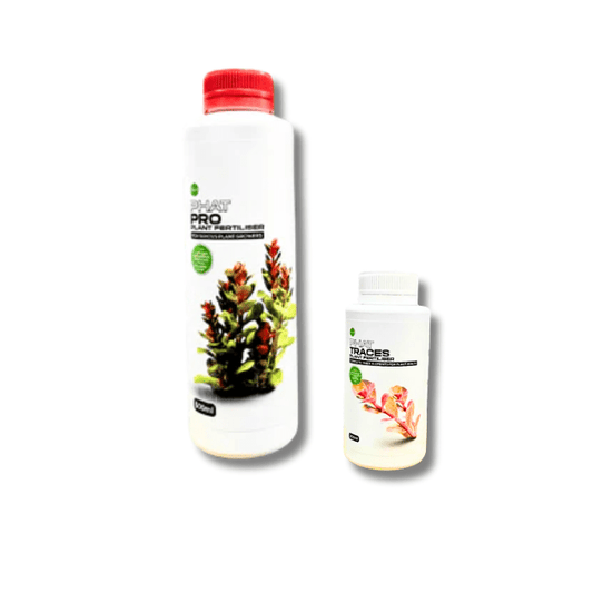 VIP Fertilizer Plant Pack DaluaAustralia 