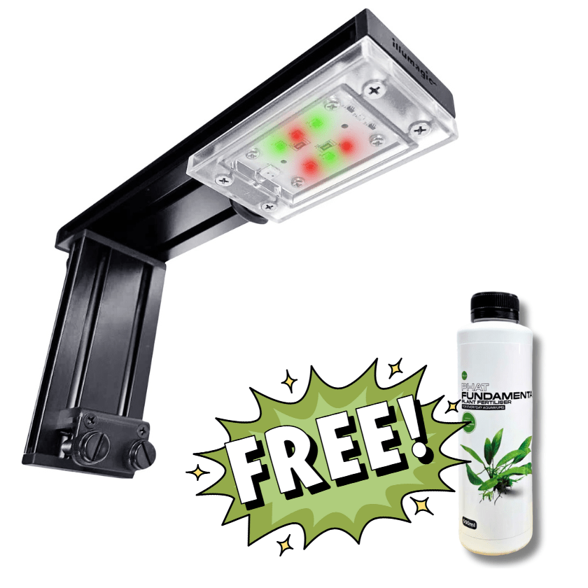 TINI + Free Phat Fertilizer lighting bundle pack DALUA 