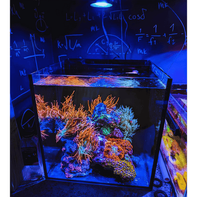 Nano Pixel LED Bundle lighting bundle pack DALUA