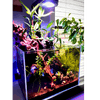 Nano Pixel LED Bundle lighting bundle pack DALUA