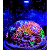 Nano Pixel LED Bundle lighting bundle pack DALUA