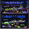 Ultimate Ecosystem Bundle – ILLUMAGIC X4, GREATE WHITE WAVE MAKER, RETURN PUMP, SKIMMER LED LIGHTING DaluaAustralia 