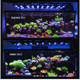 X4 + Rear Arm LED Bundle aquarium lighting bundle DALUA 