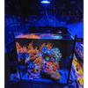 Pixel LED Bundle lighting bundle pack DALUA 
