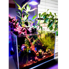 Pixel LED Bundle lighting bundle pack DALUA 
