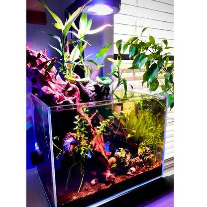 Illumagic Pixels Aquascaper LED LIGHTING DaluaAustralia 